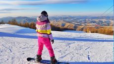 The N.Y.C. Parks Commissioner on the Experience of Place