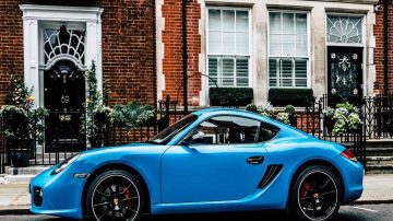 Offer Hints to How Dogs Became Domesticated