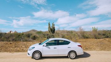 Latest Attraction at French Theme Park: Crows That Pick Up Trash