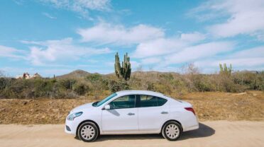 Latest Attraction at French Theme Park: Crows That Pick Up Trash