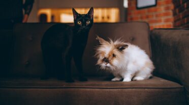 The Best Street Style Looks from New York Fashion Week