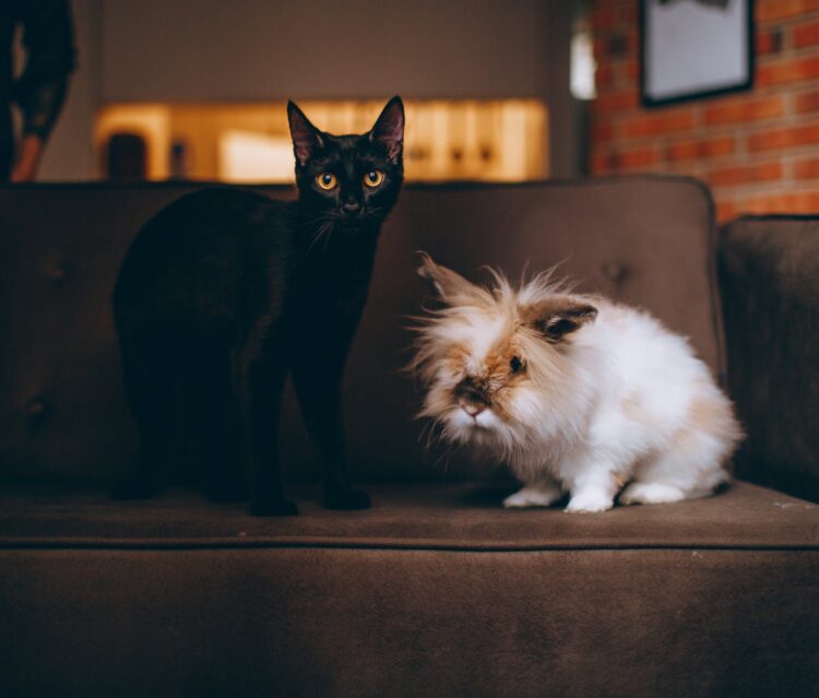 The Best Street Style Looks from New York Fashion Week