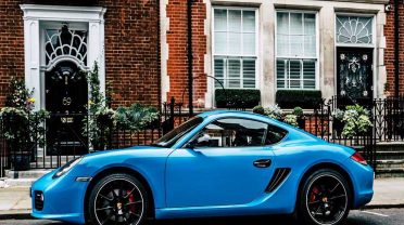 Offer Hints to How Dogs Became Domesticated