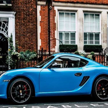 Offer Hints to How Dogs Became Domesticated