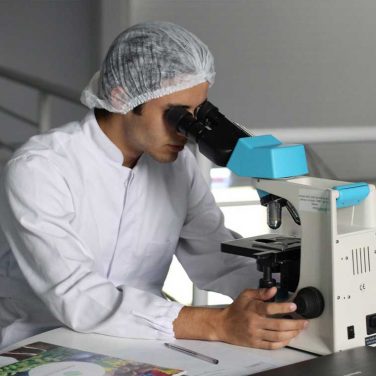 Family leave: How rich nations compare