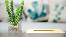 Sold Over 1 Million Flower in the First Month of Launch