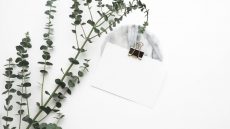 Minimalist Home Design with White Smooth Color