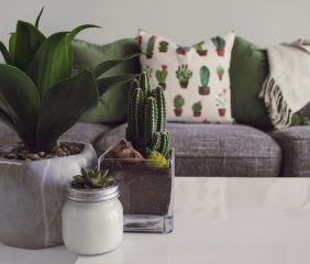 Clothing Line for Smart Works Will Launch Next Week