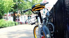 The Best Red Carpet Looks From the Opening Weekend