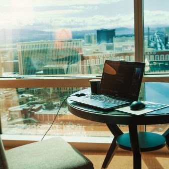 Latest Attraction at French Theme Park: Crows That Pick Up Trash
