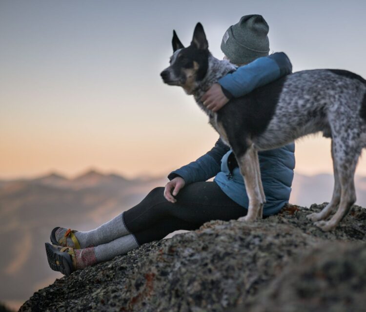 Traveling with a lovely dog to the top of a mountain