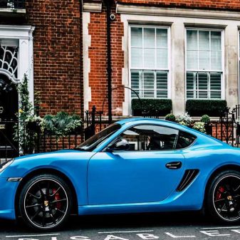 Offer Hints to How Dogs Became Domesticated