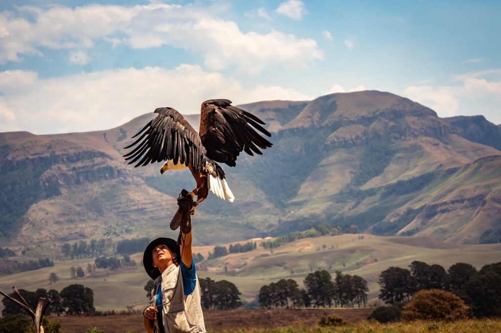 A unique and extreme vacation package to an eagle hatchery