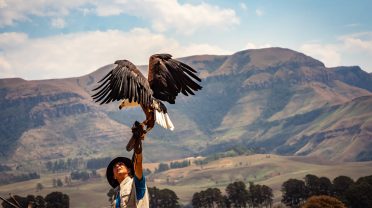 A unique and extreme vacation package to an eagle hatchery