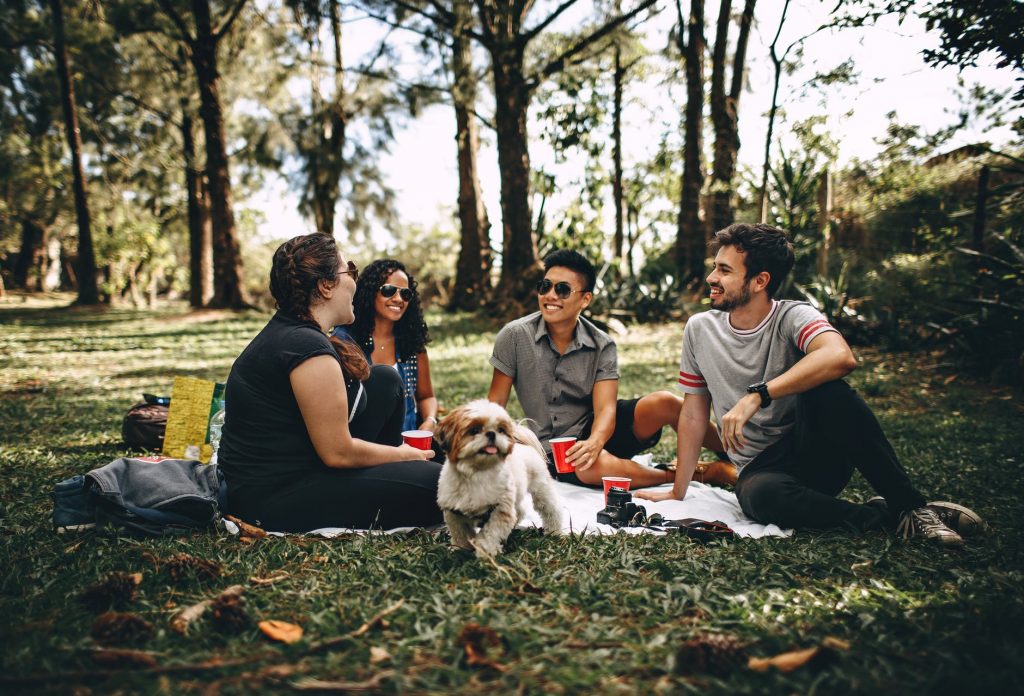 A warm family atmosphere while on vacation in the park